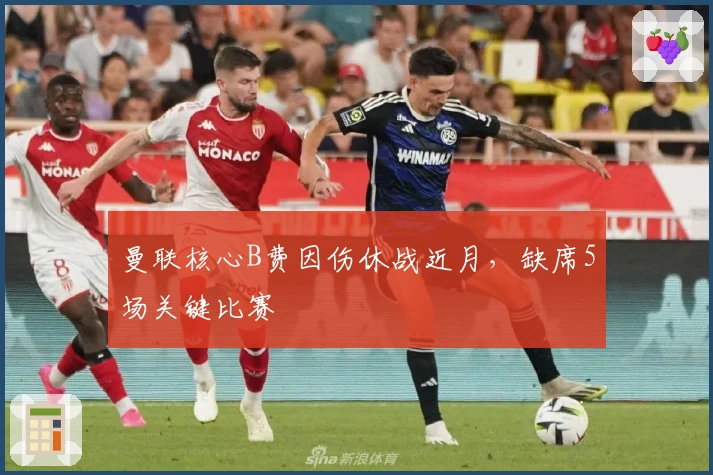 曼联核心B费因伤休战近月，缺席5场关键比赛